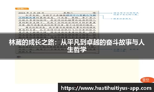 华体会体育