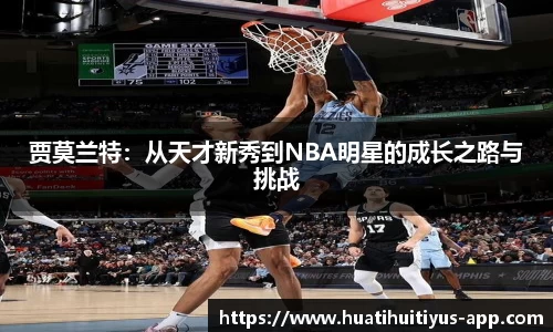 hth华体会